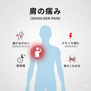 肩こり、肩甲骨
